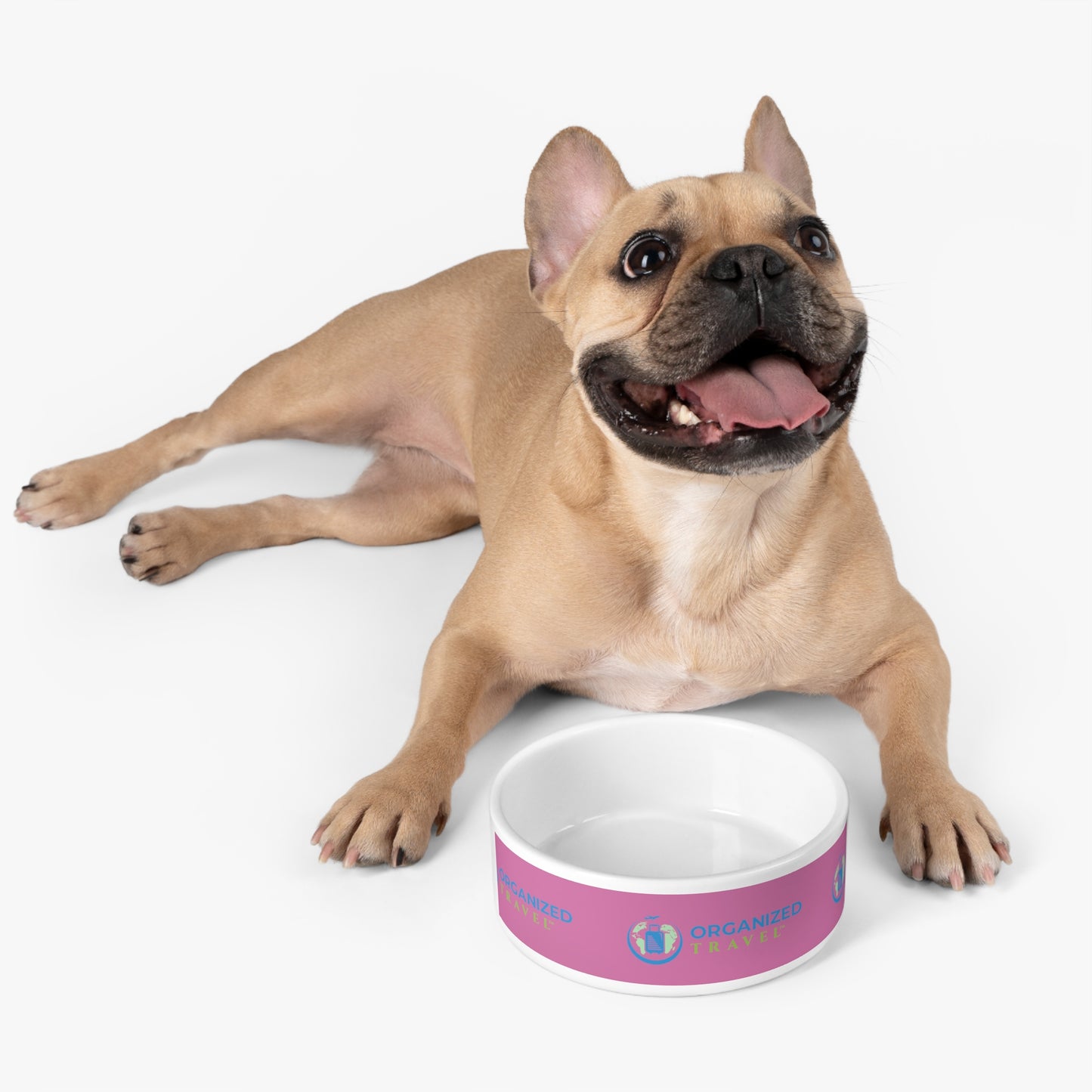 Pet Bowl (Pink)