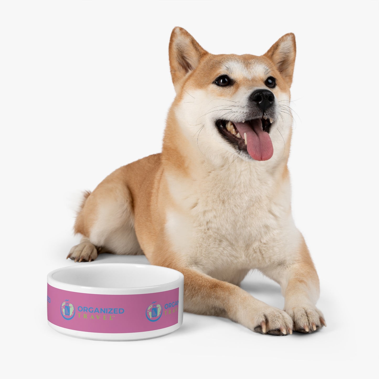 Pet Bowl (Pink)