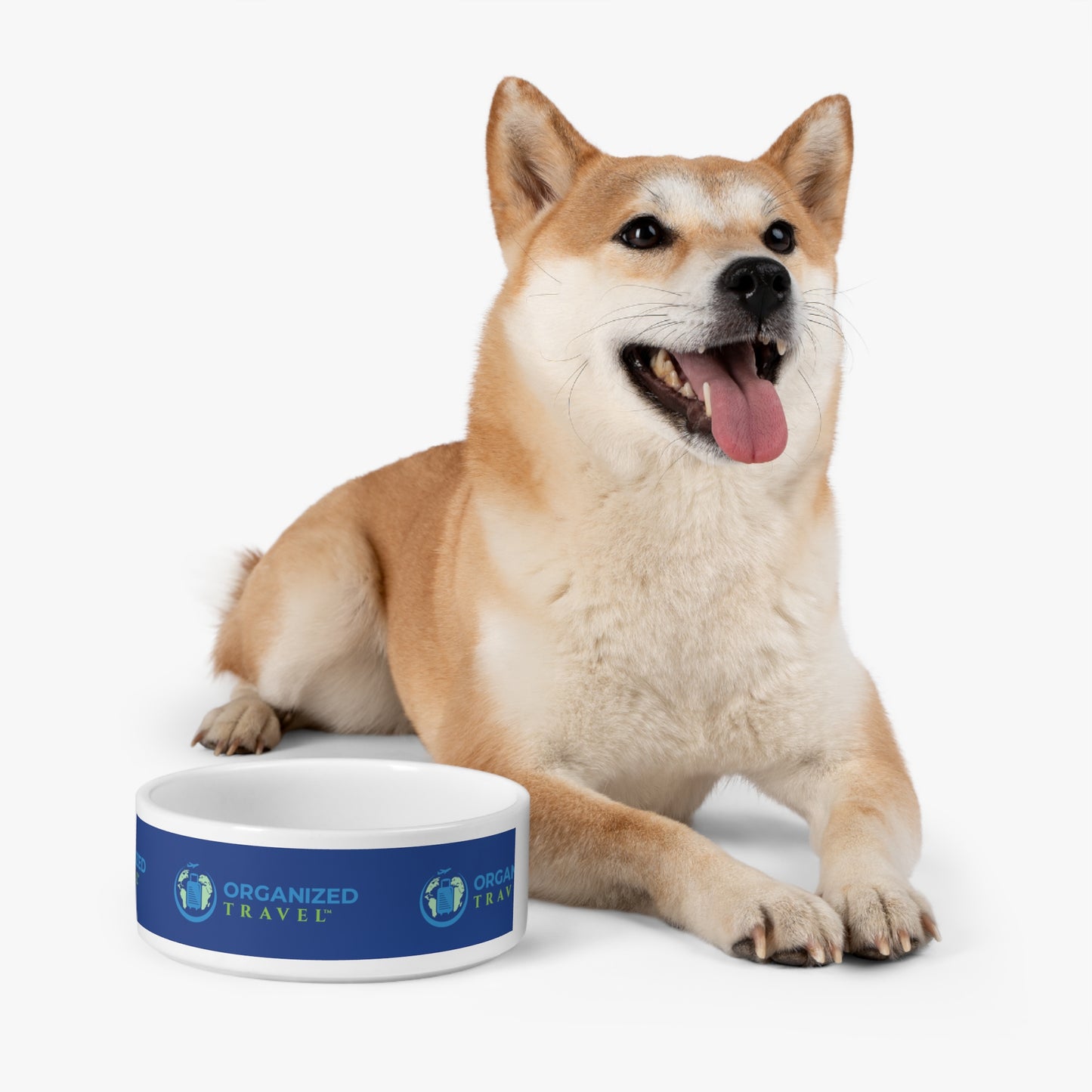 Pet Bowl (Blue)