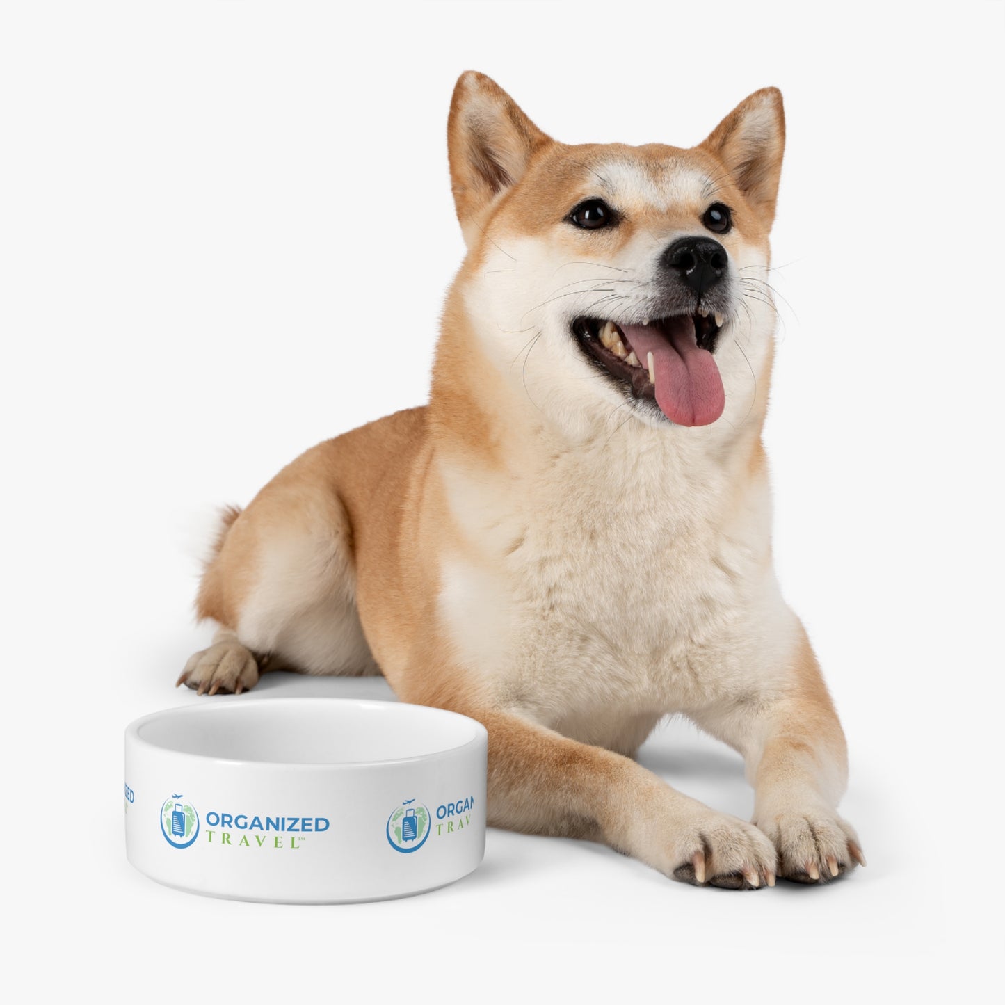 Pet Bowl (White)