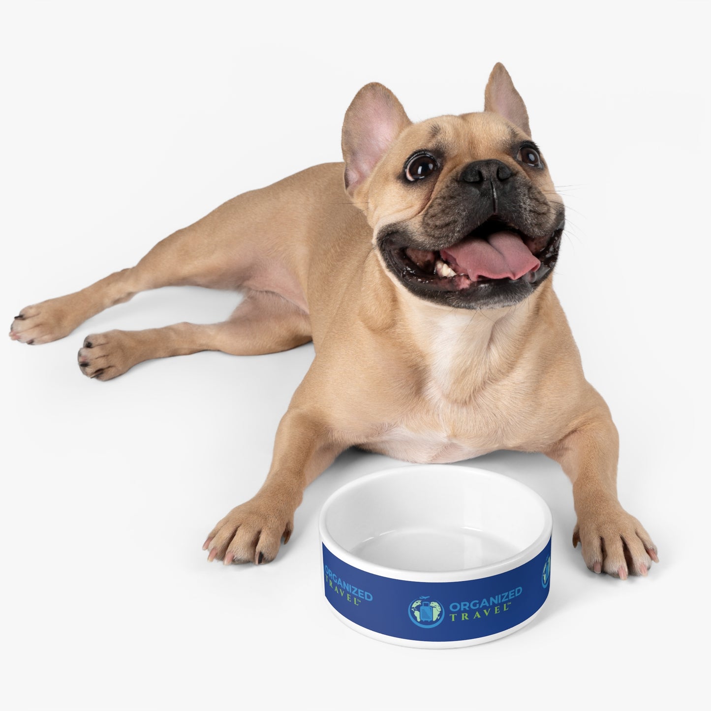 Pet Bowl (Blue)