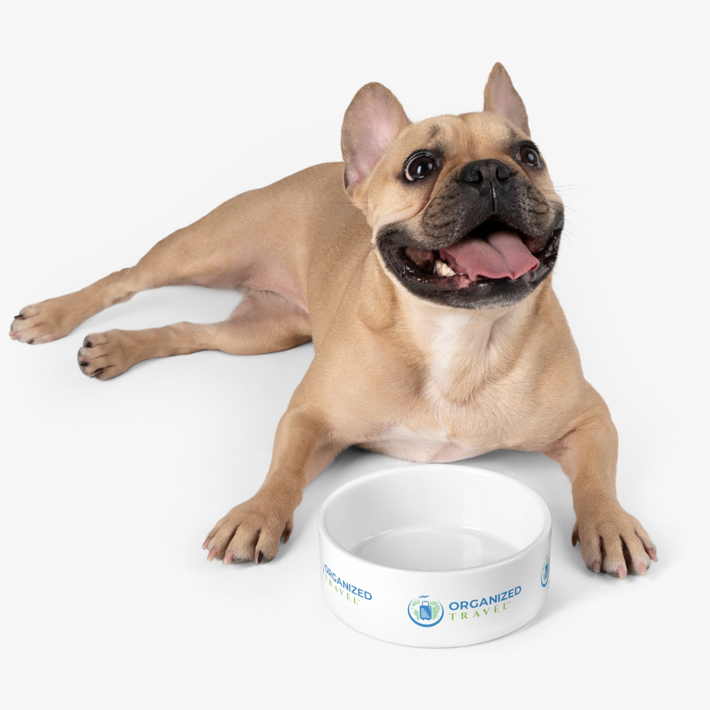 Pet Bowl (White)